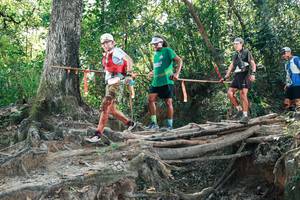 BIB: 
                            <button type="button" onclick="openModal(27743945)" class="btn btn-primary btn-sm float-right btn-popup" data-toggle="modal" data-target=".modal-high-quality">
                        <i class="fas fa-shopping-cart"></i> Add to Cart
                    </button>
                                            <button type="button" onclick="isThisMe(27743945, true)" class="btn btn-success btn-sm float-right btn-popup btn-isme hidden" data-toggle="tooltip" data-placement="bottom" title="นี่คือรูปของคุณใช่ไหม คลิกที่นี่เพื่อเอาเข้าอัลบั้ม">
                        <i class="fas fa-plus"></i> Add to album
                    </button>
                    <button type="button" onclick="isThisMe(27743945, false)" class="btn btn-warning btn-sm float-right btn-popup btn-isnotme hidden">
                        <i class="fas fa-ban"></i> Remove from album
                    </button>